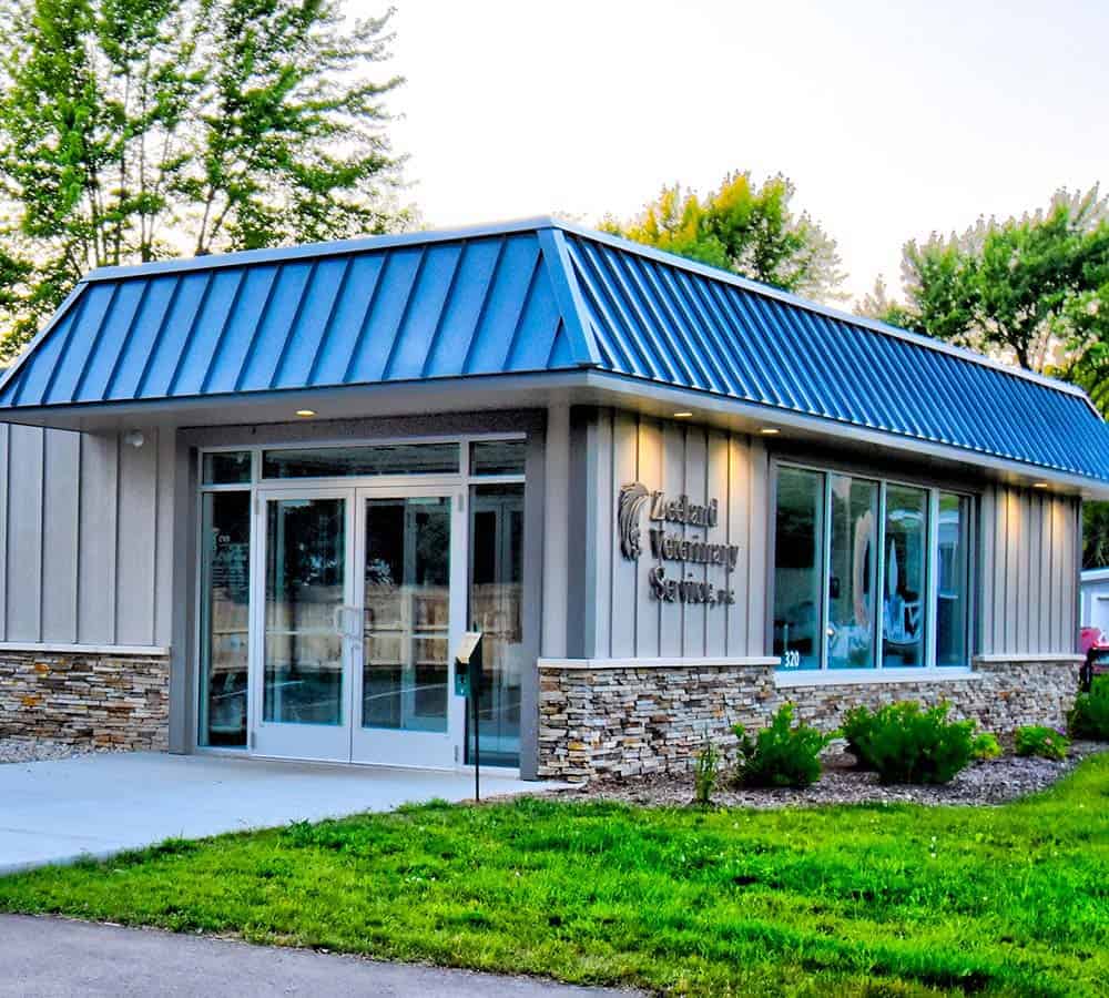 Zeeland Veterinary Service | Zeeland Veterinarian